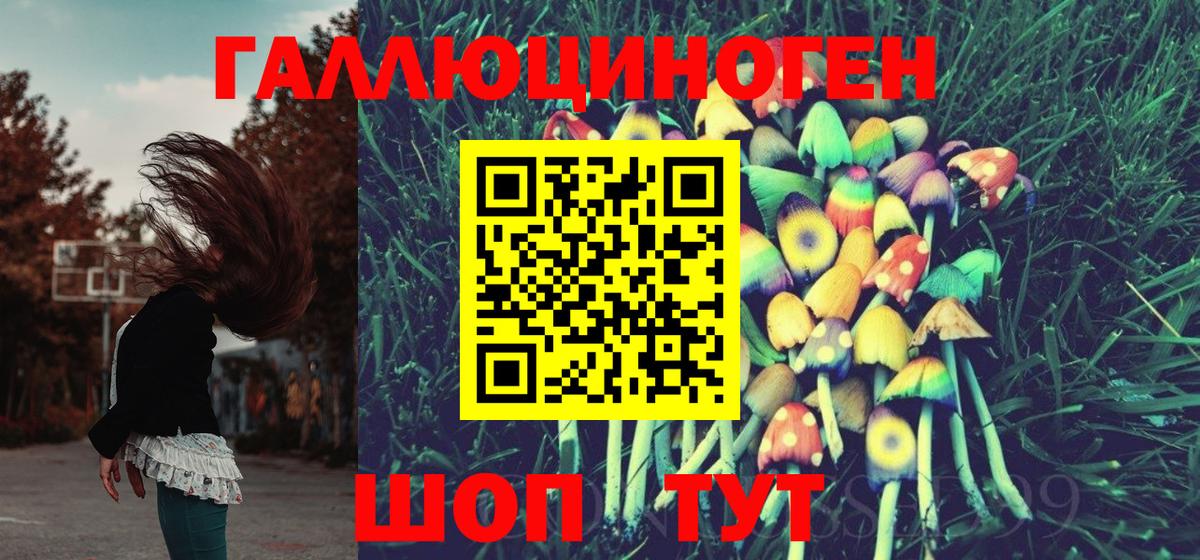 Псилоцибиновые грибы Cubensis Тула