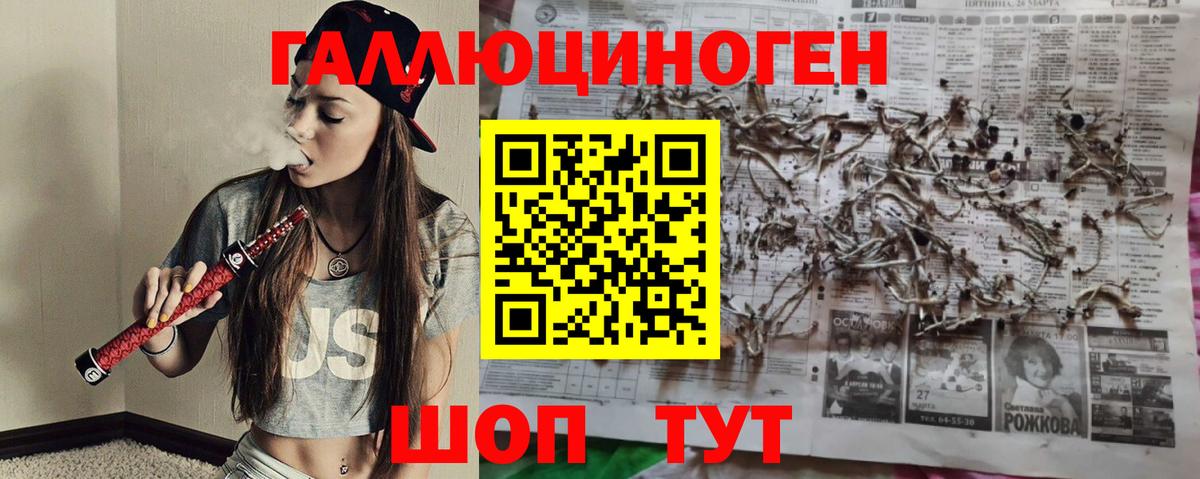Галлюциногенные грибы ЛСД  Вход с VPN  Тула  Псилоцибиновые грибы прущие грибы 